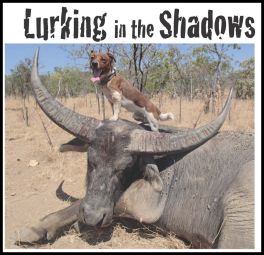Lurking In The Shadows (page 116) Issue 86 (click the pic for an enlarged view)